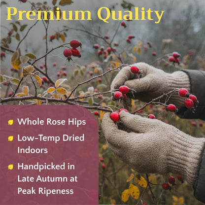 Dried Whole Rose Hips Tea - Natural RoseHip Fruit Herbal Tea Loose, 2 oz