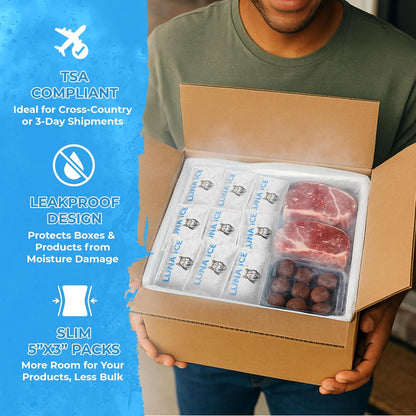 Dry Ice Packs for Shipping - Long Lasting ice Packs - 24+ Hour Freeze Power - BPA Free - 12 Pack Bulk 3 lb – Hielo Seco - Reusable Gel Bricks for Food