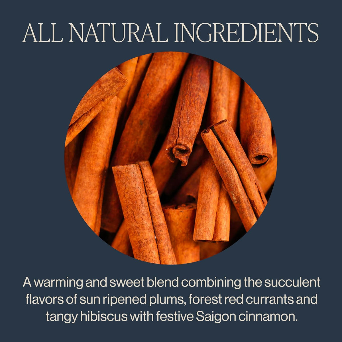 Rishi Tea Cinnamon Plum Organic Herbal Loose Leaf Tea, Caffeine Free, 4oz