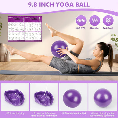 Goocrun Pilates Ring Set Exercise Equipment, with Exercise Resistance Bands Set, Pilates Ball, Sliding Disks. Portable Home Gym - with Fitness Guide Poster