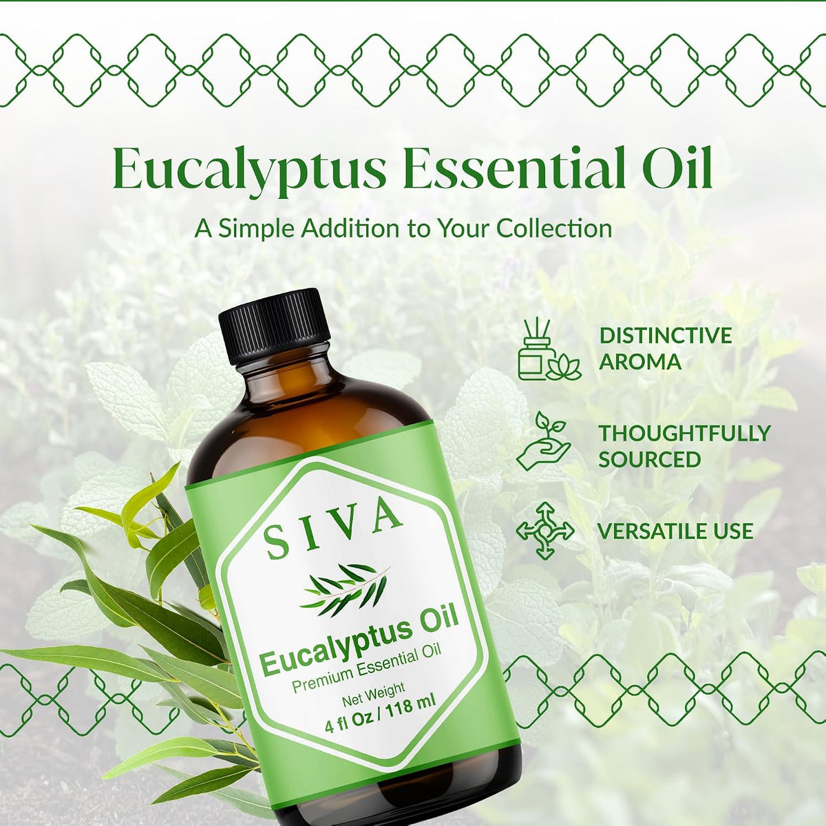 Siva Lavender Essential Oil, Huge Bottle, Large Size, 16 Fl Oz (473 ml)