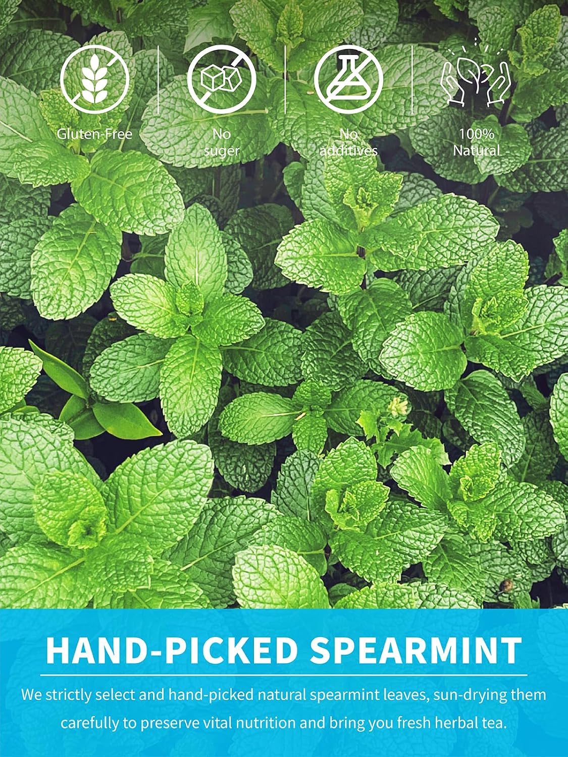 TeeLux Spearmint Tea Bags, Natural Spearmint Leaves, Caffeine Free, 100 ct