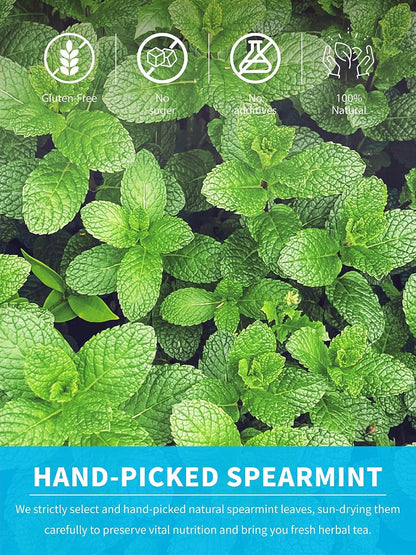 TeeLux Spearmint Tea Bags, Natural Spearmint Leaves, Caffeine Free, 100 ct