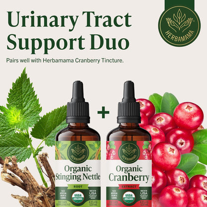 HERBAMAMA USDA Organic Stinging Nettle Root - Urinary Tract Support - 4 oz