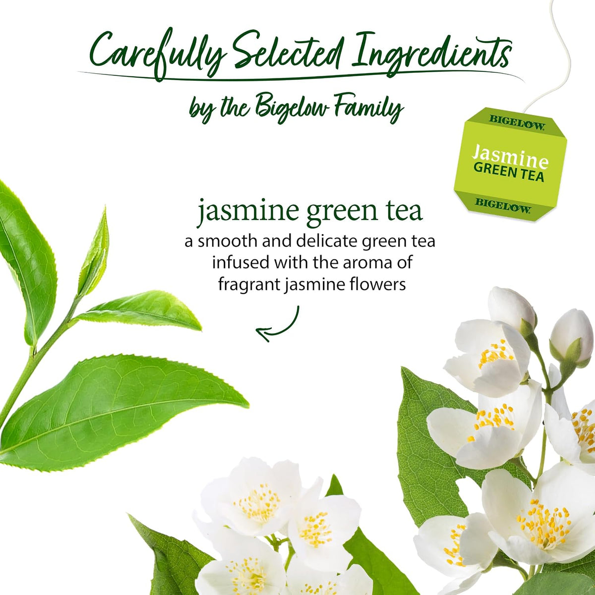 Bigelow Tea Jasmine Green Tea, 20 Count (Pack of 6)