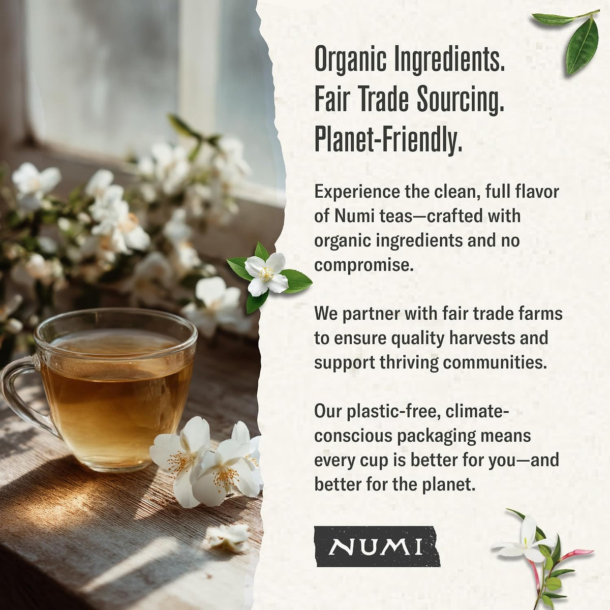 Numi Organic Jasmine Green Tea, 100 Green Tea Bags