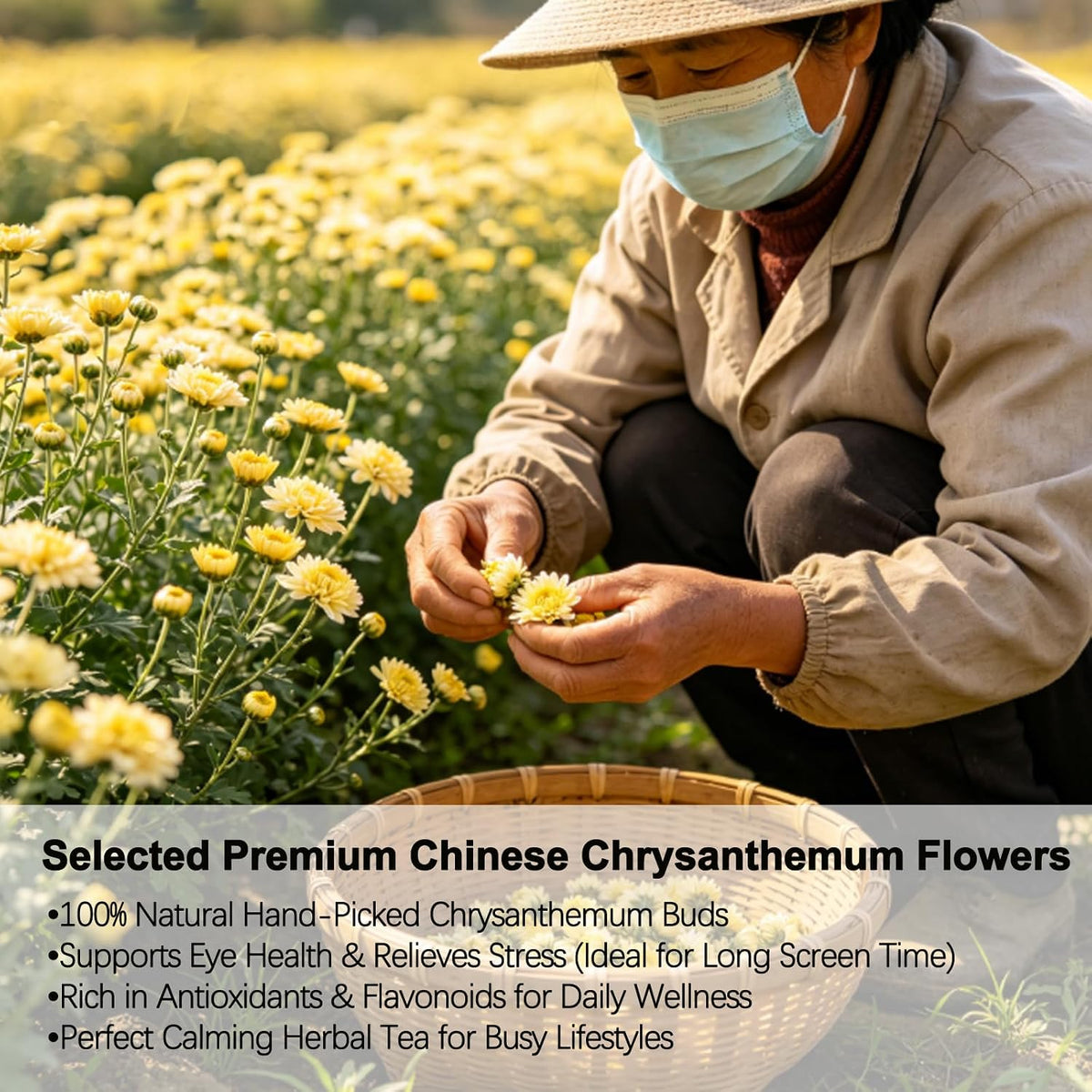 Organic Chinese Chrysanthemum Wolfberry (Goji Berry) Herbal Tea, Caffeine-Free Calming Relaxation Blend, Non-GMO, 40Tea Bags