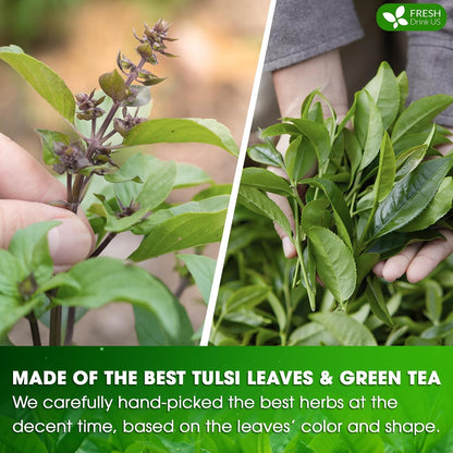 FreshDrinkUS, Premium 75 Tulsi Green Tea Bags, 100% Natural & Pure, Herbal Tea, No Sugar, No Caffeine, No Gluten, Vegan.