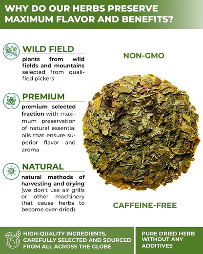 50 Bags White Mulberry Tea Mulberry Leaf Herbal Tea (Morus Alba) - 50 Count 1.5g Bags Herb Hoja De Morera