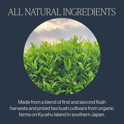 Rishi Tea Sencha Green Japanese Organic Sachet Tea Bags, Caffeinated, 15ct