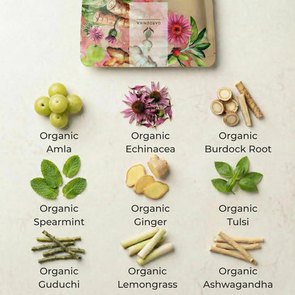Gardenika Organic Loose Leaf Tea Sampler – 8 Pack, 1 LB – Herbal and Naturally Caffeine-Free Set - Ayurvedic Assortment Blend