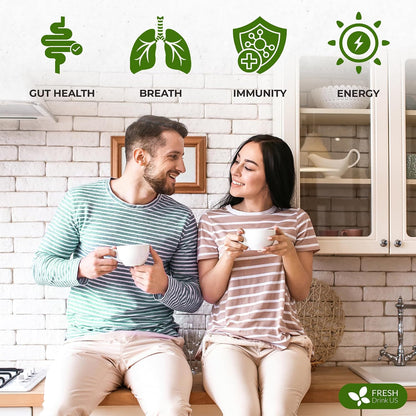 FreshDrinkUS, Premium 150 Lemon Ginger Tea Bags, 100% Natural Ingredients, Hand-made Blend of Lemon and Ginger, Eco-conscious Tea Bags. No Sugar, No Caffeine, Vegan. - Colors A