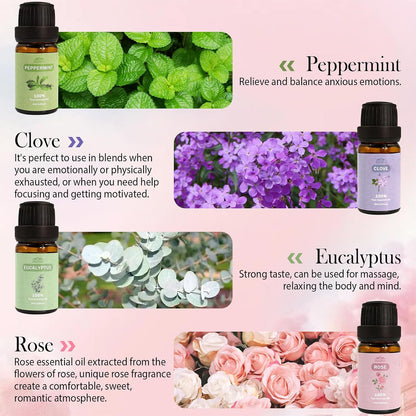 Fragrance Essential Oils Set, Essential Oils for Diffuser, for Home, Skin, Candle & Soap Making-Tea Tree, Lavender, Peppermint, Rose and More, with Gift Card for Friend, Teacher, Mom(20×5ml