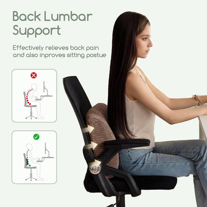 HIGOGOGO Lumbar Support Pillow for Recliner Chair/Accent Chair/Couch, Memory Foam Back Support Cushion for Elderly, Recliner Cushions for Back Rest, Pain Relief, Reading, Washable Cover, Dark Grey
