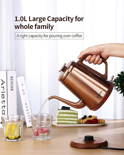 DmofwHi Gooseneck Electric Kettle(1.0L), 100% Stainless Steel BPA Free Classic Pour Over Coffee Kettle | Tea Kettle - Green