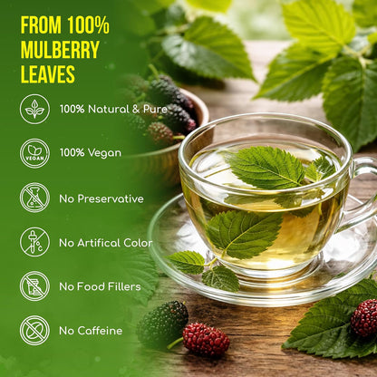 FreshDrinkUS, Premium Mulberry Leaf Tea, 120 Count, Pure, Caffeine Free