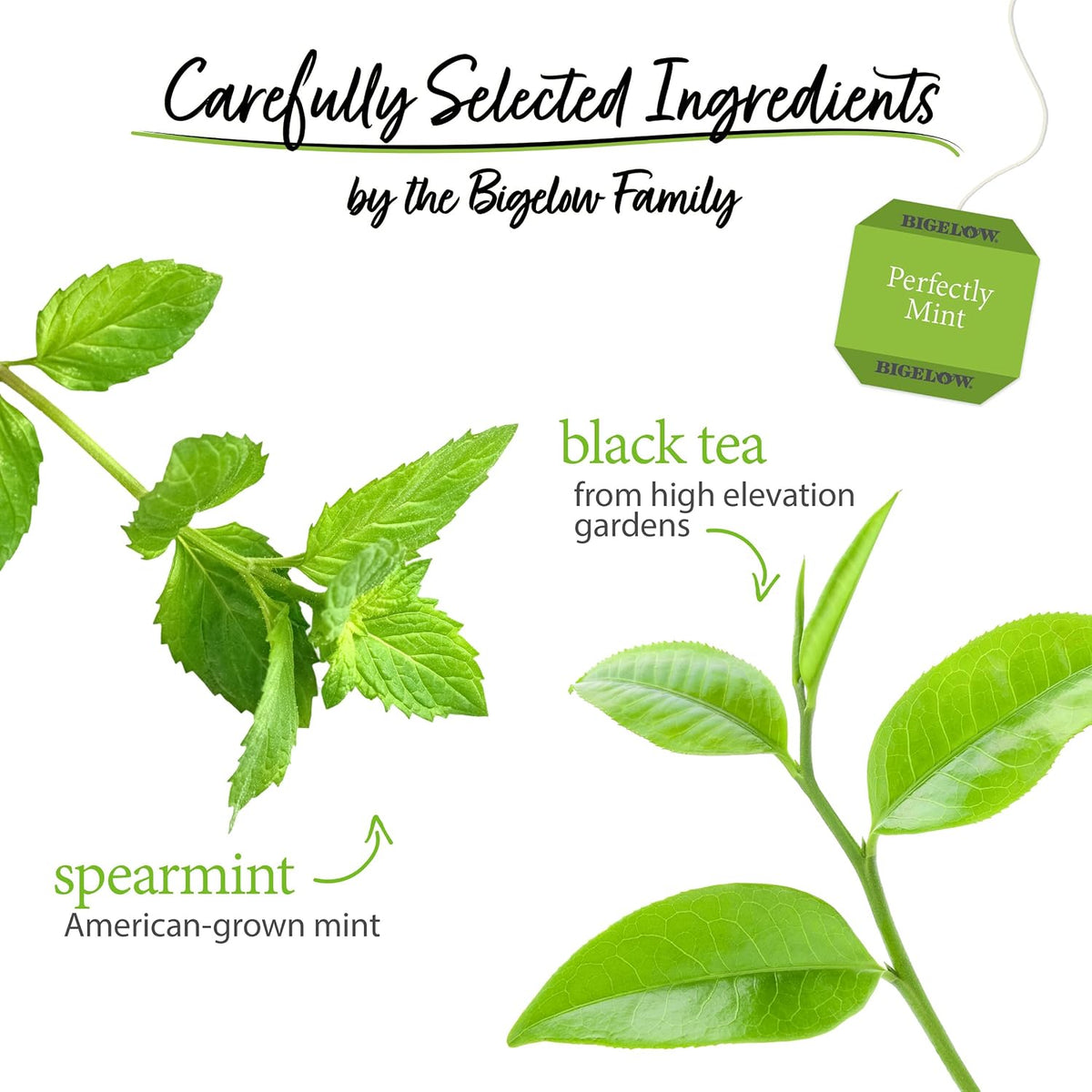 Bigelow Tea Perfectly Mint Black Tea, 20 Count (Pack of 6)