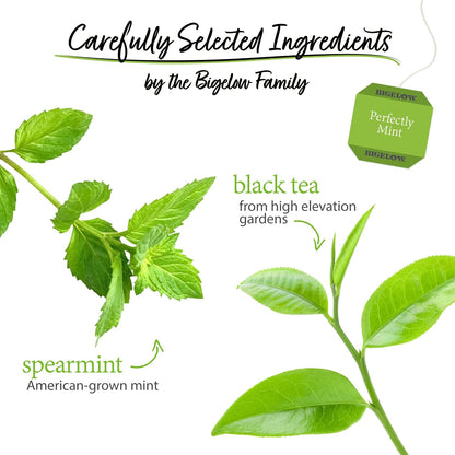Bigelow Tea Perfectly Mint Black Tea, 20 Count (Pack of 6)