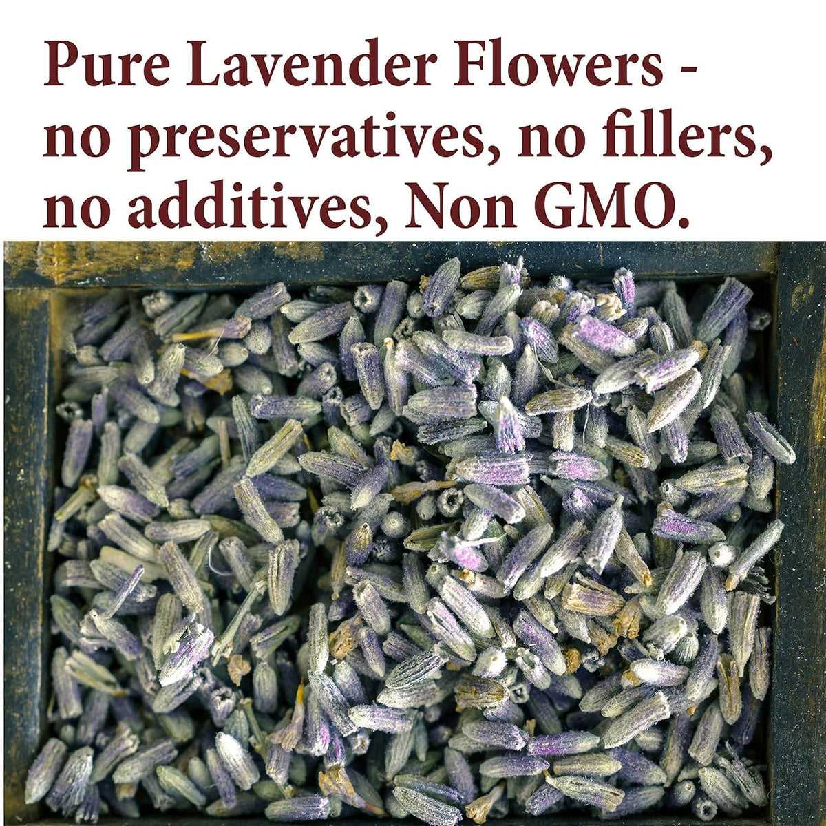 The Spice Way Lavender Flowers 2 oz Culinary Grade Buds for Tea and Cooking