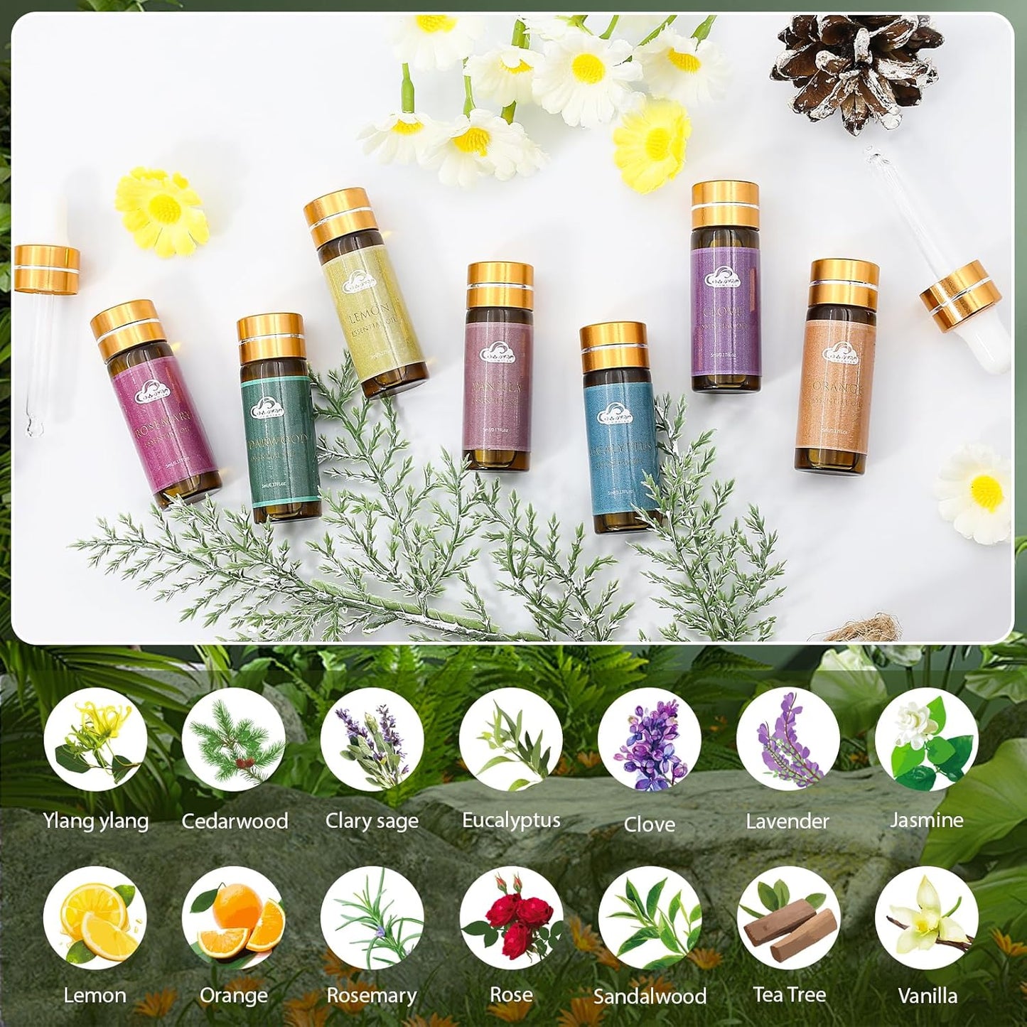 Essential Oil Set, 32 Pcs Fragrance Aromatherapy Oils for Skin, Diffusers, Home Care, Humidifier Laundry, Candle Making - Tea Tree, Sandalwood, Lavender, Vanilla, Eucalyptus and More(5mL)