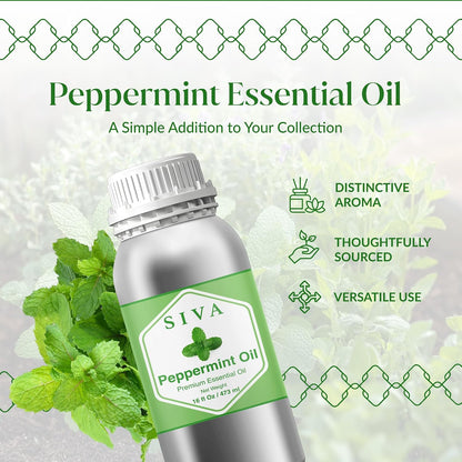 Siva Lavender Essential Oil, Huge Bottle, Large Size, 16 Fl Oz (473 ml)