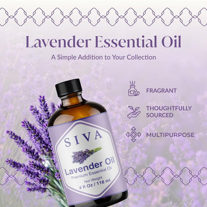 Siva Lavender Essential Oil, Huge Bottle, Large Size, 16 Fl Oz (473 ml)
