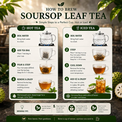 WOTIHA 45 Count Premium Soursop Graviola Tea Bags - 100% Natural soursop leaves, Non-GMO, Caffeine/Sugar/Gluten Free Vegan, Food-Grade Biodegradable Bags, Hojas De Guanabana.