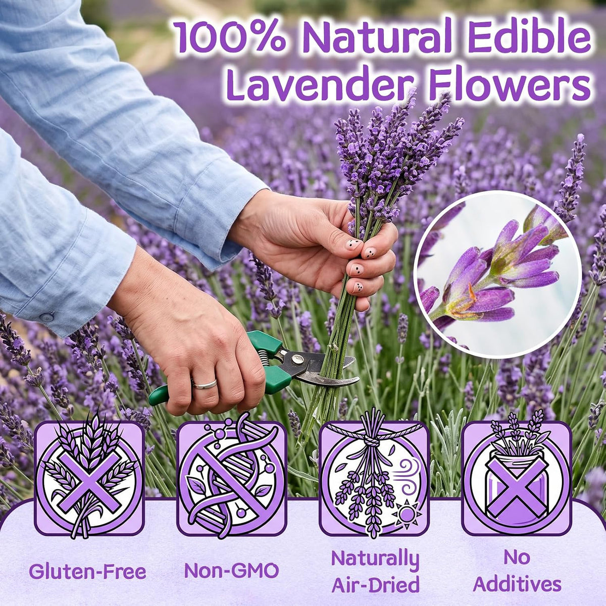 Curnue 50+ Edible Lavender Sprigs for Cocktails & Drinks Garnish
