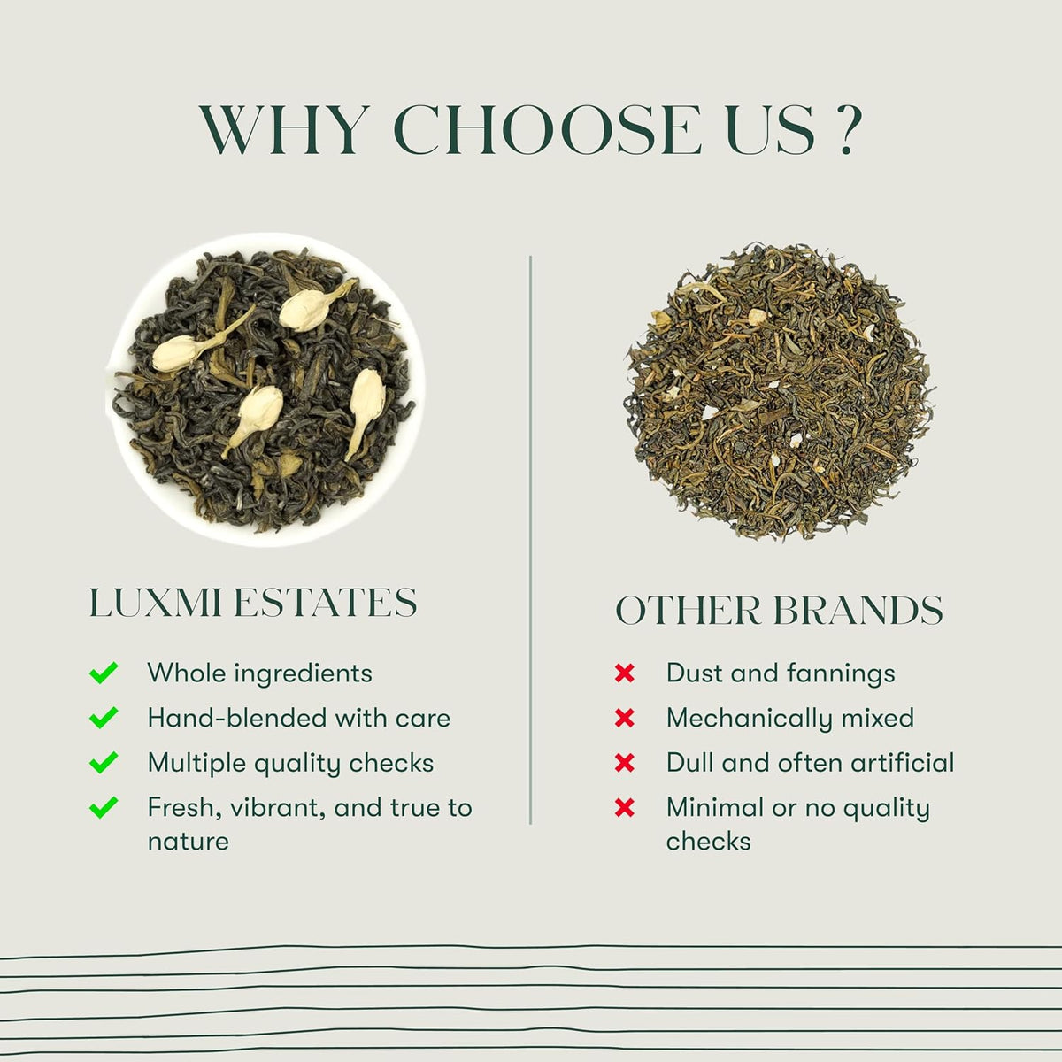 Luxmi Estates Midnight Bloom Jasmine Darjeeling Green Tea | 50 Biodegradable Teabags (50 cups)
