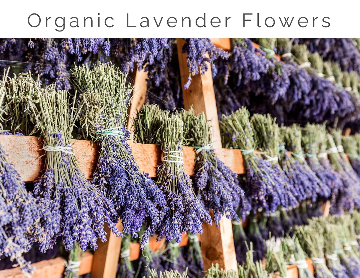 Lavender Lane Lavender Vanilla Simple Syrup, 9 oz - USA Farm Exraction, For Tea, Coffee, Cocktails, Mocktails, Cooking