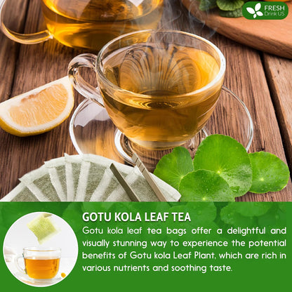 FreshDrinkUS, Premium Gotu Kola Leaf Tea, 40 Count, Pure, Caffeine Free