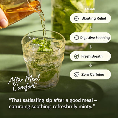 TeaTrail Pure Spearmint Tea – 25 Pyramid Tea Bags, Caffeine-Free Herbal Tea for Digestion & Bloating Relief, 100% Natural Spearmint Leaves, Corn Fiber Compostable Bags, Hot & Iced Brew