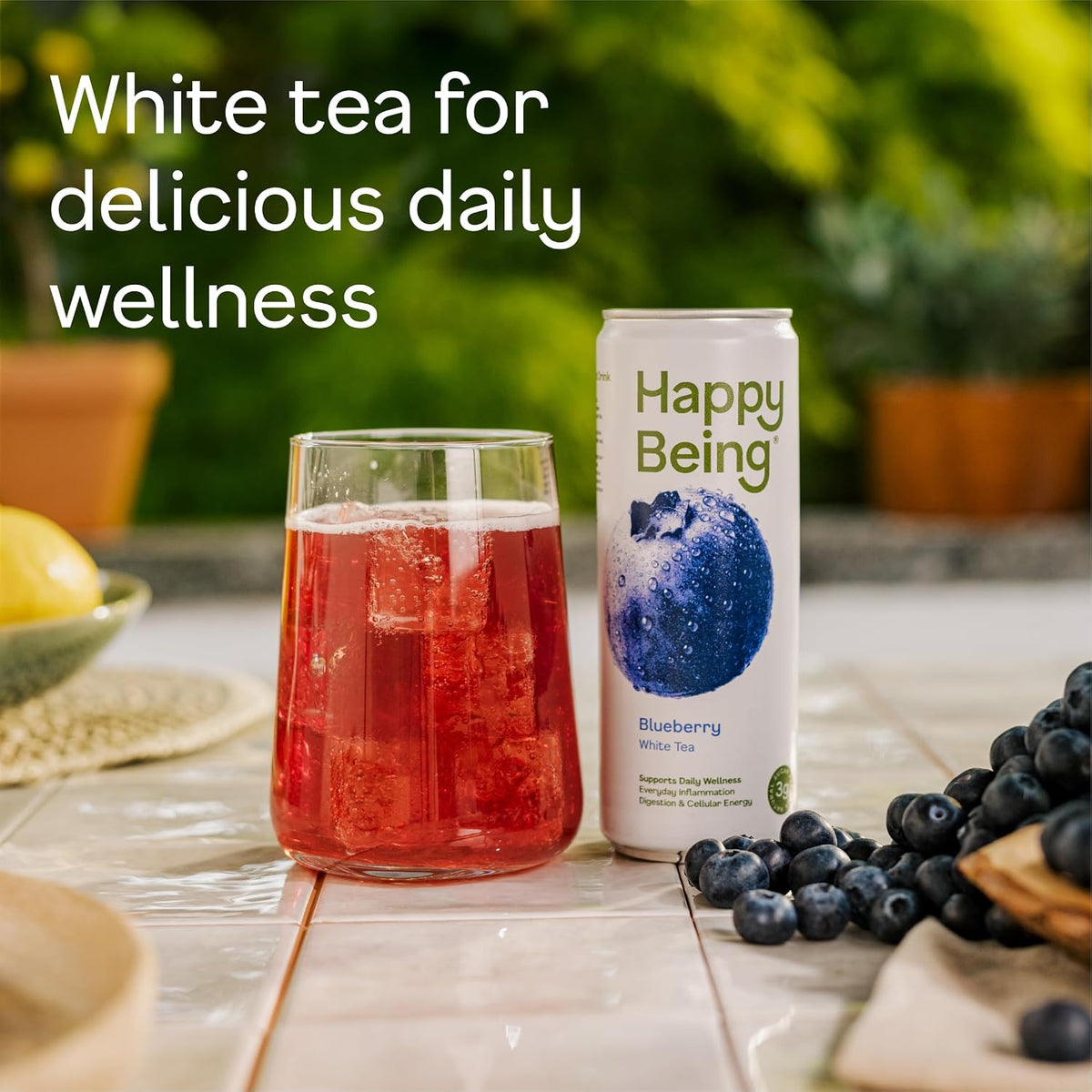 Happy Being Blueberry White Tea, Antioxidant, Low Sugar, 12oz 4 Pack