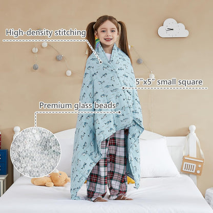 L'AGRATY Weighted Lap Pad 7lb: Small Weighted Blanket for Adults - Cooling Portable Travel Blanket for Relaxation Sleeping - Washable All-Season (29" x 24")