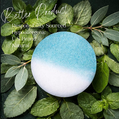 EvolutionUSA Inspire Breathe Shower Steamers – 15 Mint & Eucalyptus Shower Steamers for Women & Men, Vapor Shower Tablets, Self Care Shower Bombs, Luxury Gift for Christmas or Birthday, Spa Gift