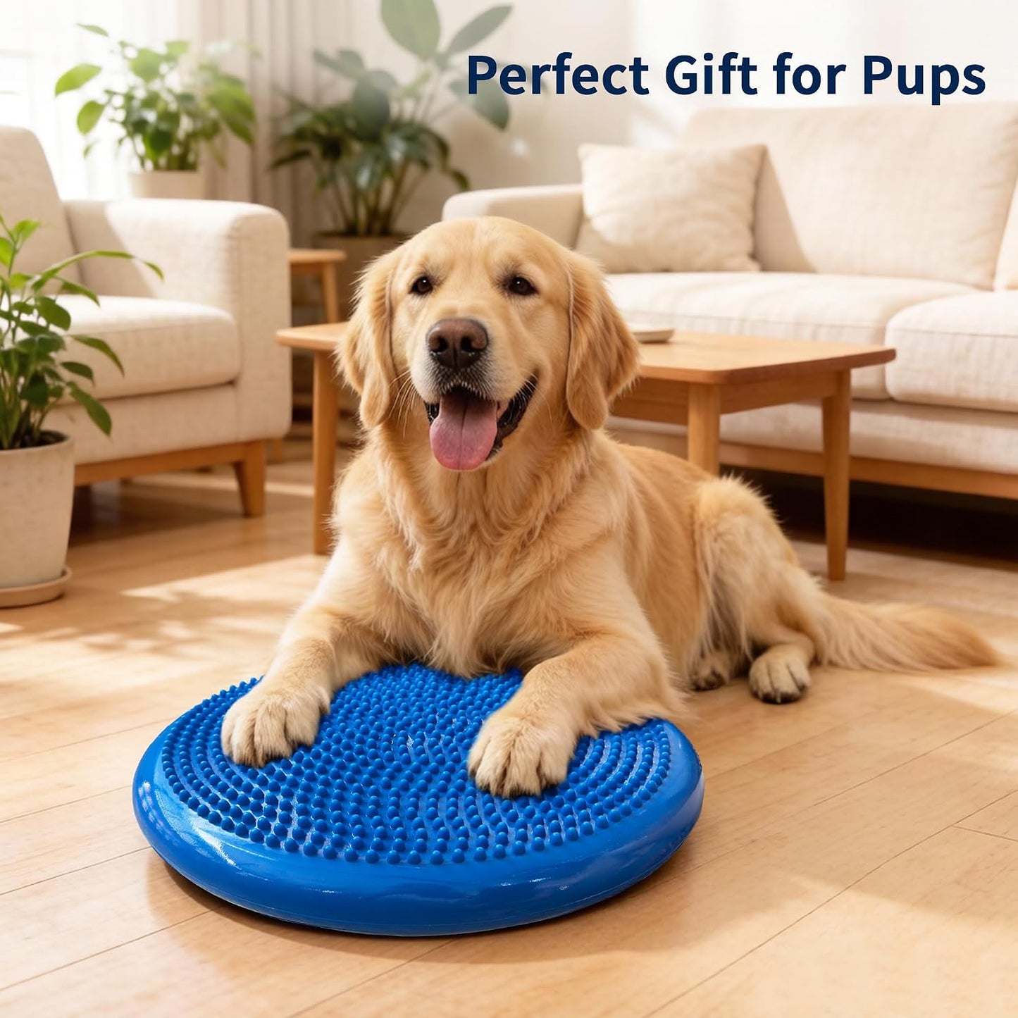 Wobble Cushion Balance Disc, Extra Thick Sensory Pad for Kids & Adults, Flexible Seating Core Strength Trainer for Posture Correction, Desk, Yoga & Stability Workout with Pump