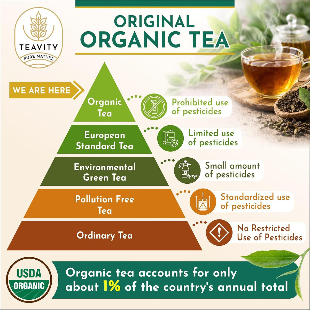 Green Tea & Ginger Tea Pods for Keurig - Caffeinated, Organic, Dye Free, Unsweetened, Herbal Blend for K Cup Machines - Hot or Iced (12 Tea Pods)