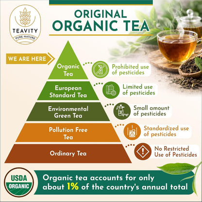 Green Tea & Ginger Tea Pods for Keurig - Caffeinated, Organic, Dye Free, Unsweetened, Herbal Blend for K Cup Machines - Hot or Iced (12 Tea Pods)