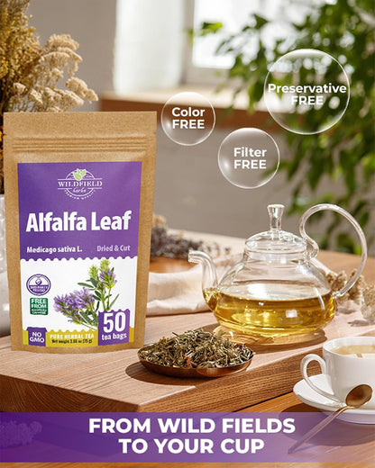 50 Bags Alfalfa Leaf Alfalfa Herb Tea (Medicago Sativa) - 50 Count 2g Tea Bags