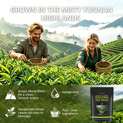 Oolong Tea Bags – Yunnan High-Mountain Oolong Whole Leaf Tea Bags,25 Bags (4g Each) –Cortisol & Calming Tea for Stress Relief,Digestion & Metabolism,Loose Leaf Oolong Tea, Smooth Aroma,Low-Astringency