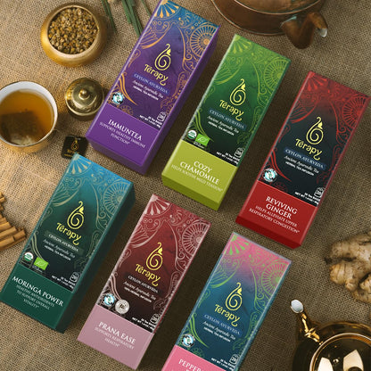 TERAPY ImmunTea Triphala & Ginger Ayurvedic Healthy Herbal Tea Mix, 20 Bags