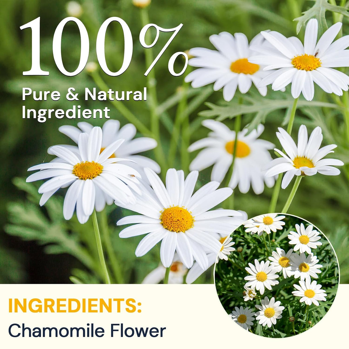 Chamomile Tea Bags, Chamomile Flower Herbal Tea, 50 Teabags
