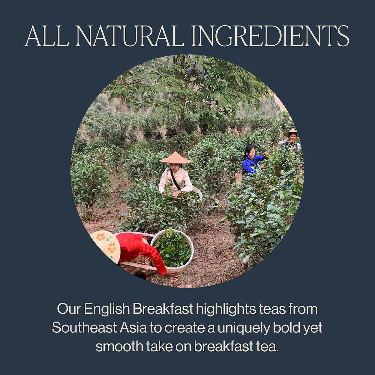Rishi Tea English Breakfast Organic Black Tea Bags, Caffeinated, 50ct