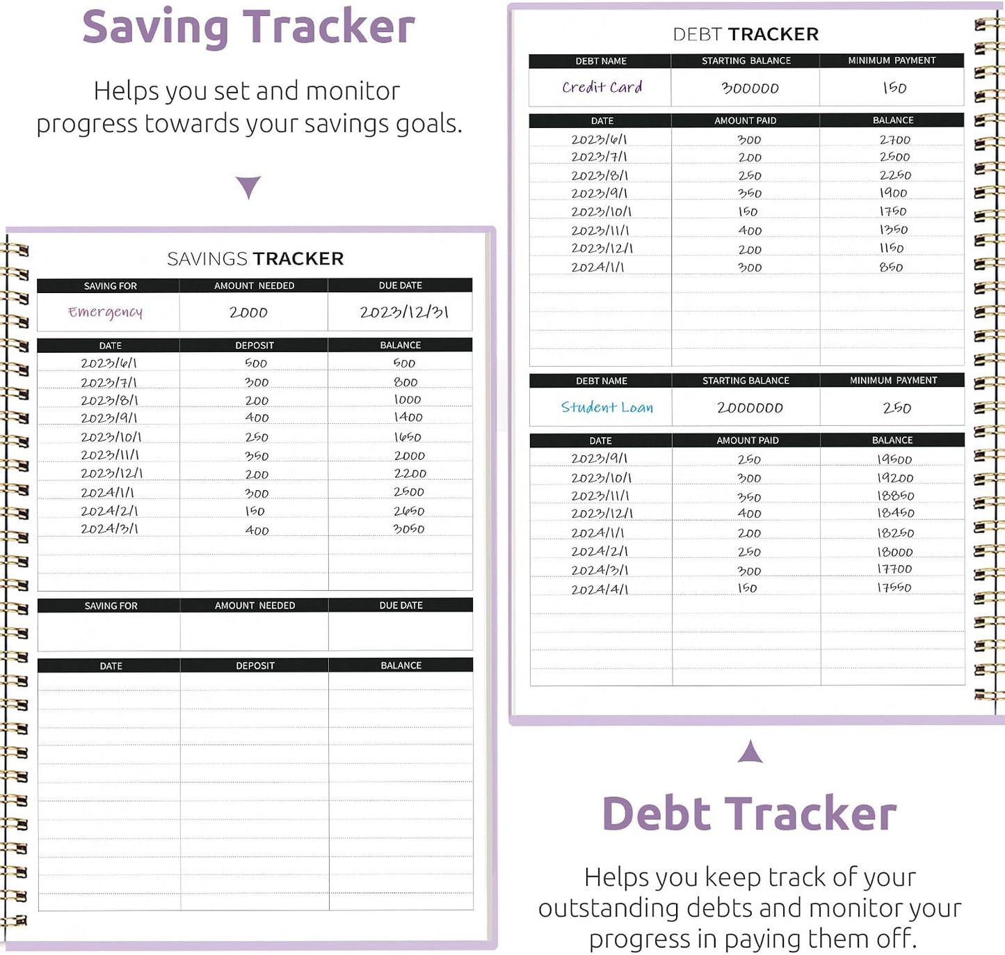 Budget Planner - Monthly Budget Book with Expense Tracker Notebook, Undated Bill Organizer & Finance Planner to Take Control of Your Money, Account Book to Manage Your Finances-Pink