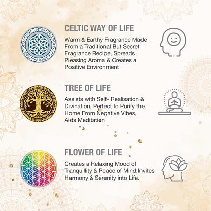 HEM Incense Sticks – 12 Box Variety Pack (240 Sticks Total, 20 Sticks per Box) | Long Lasting Fragrance | Meditation, Relaxation, Yoga, Aromatherapy & Home Fragrance