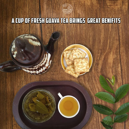 FreshDrinkUS, Premium 150 Lemon Ginger Tea Bags, 100% Natural Ingredients, Hand-made Blend of Lemon and Ginger, Eco-conscious Tea Bags. No Sugar, No Caffeine, Vegan. - Colors C