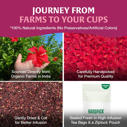 HANDPICK Organic Hibiscus Tea (100 Tea Bags) Pure Indian Hibiscus Flowers