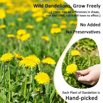 Dandelion Loose Leaf Root Tea 4.4 Ounce(125g)