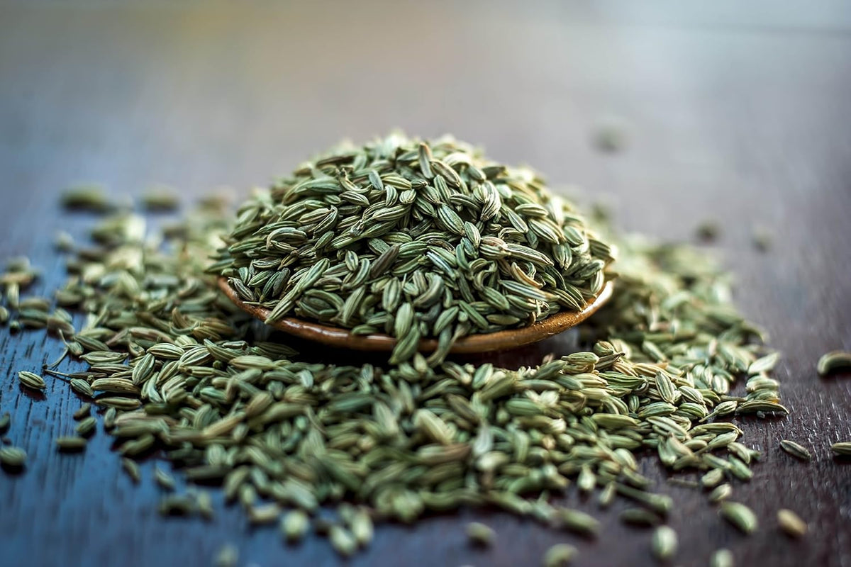 Fennel Seed 1LB (16Oz) 100% CERTIFIED Organic Egyptian Fennel Seed (Foeniculum vulgare), in 1 lbs. Bulk Resealable BPA-free Bag by U.S. Wellness Naturals