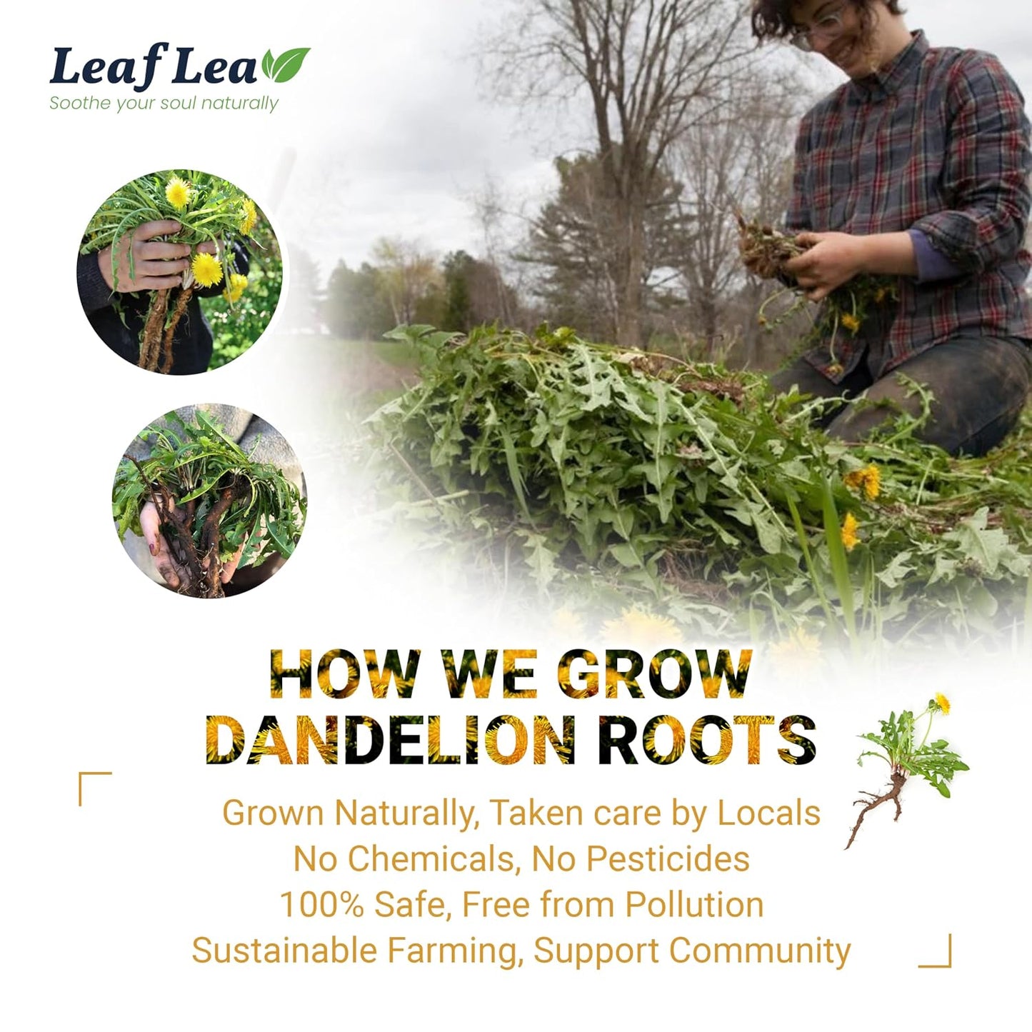 LeafLea Turmeric Tea with Ginger and Cinnamon, 80 Premium Turmeric Ginger Tea Bags, 100% Natural Ingredients Herbal Tea, Vegan, No Sugar, Caffeine-Free, Each Tea Bag Sealed for Fresh Flavor